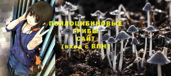 индика Алзамай