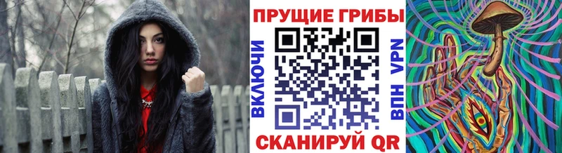 Псилоцибиновые грибы мицелий  hydra зеркало  Волгодонск 
