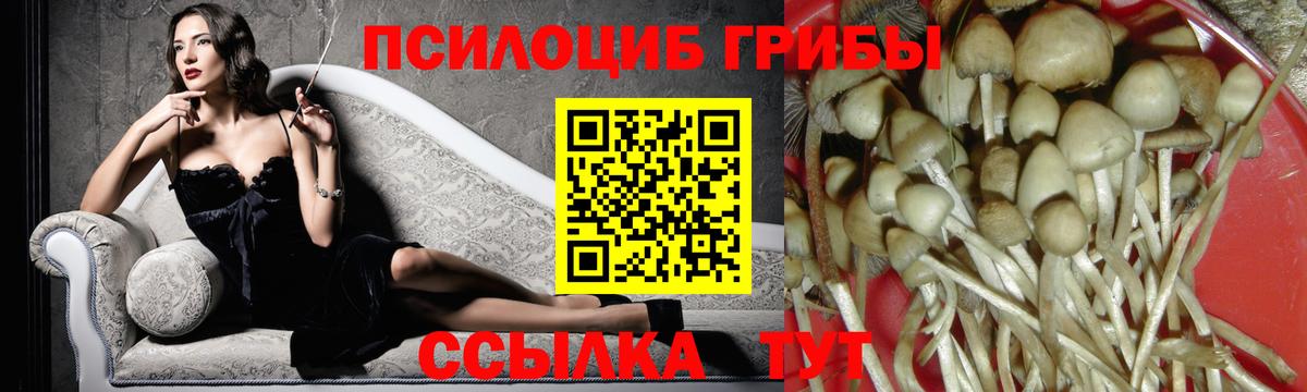 Волгодонск  Псилоцибиновые грибы Psilocybine cubensis  Псилоцибиновые грибы MAGIC MUSHROOMS  Вход с VPN 