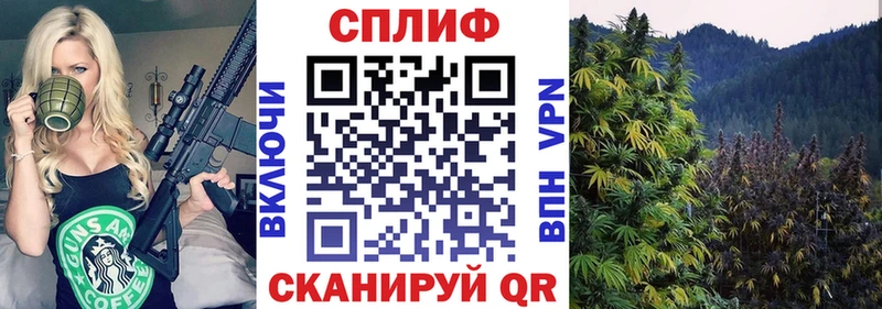 Бошки марихуана White Widow  Волгодонск 